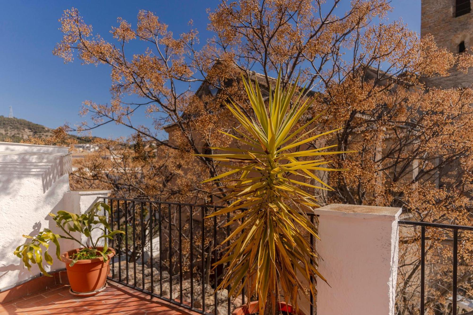La Casita De La Plaza Villa Granada Buitenkant foto